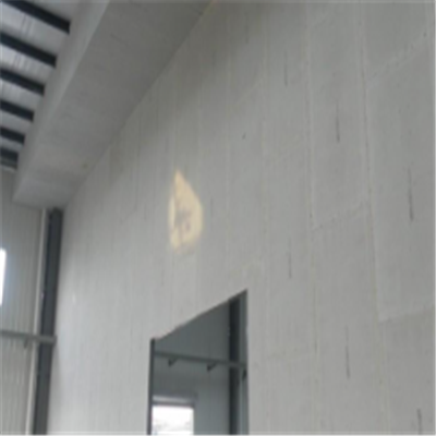 郎溪宁波ALC板|EPS加气板隔墙与混凝土整浇联接的实验研讨